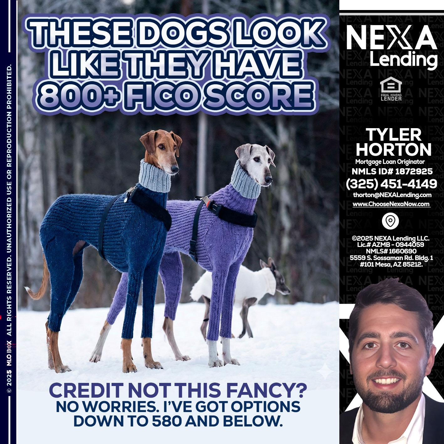 THESE DOGS LOOK - Tyler Horton -Mortgage Loan Originator
